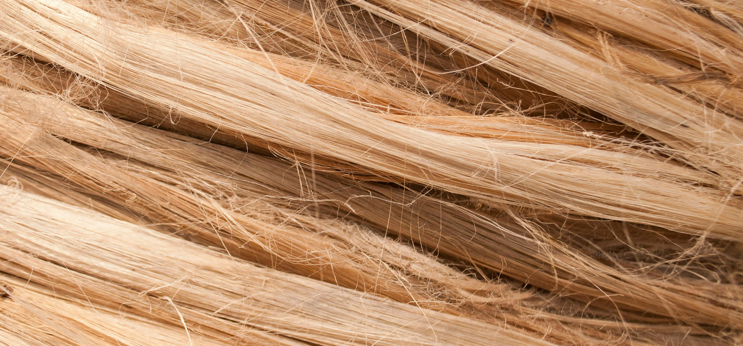 Dry Hair