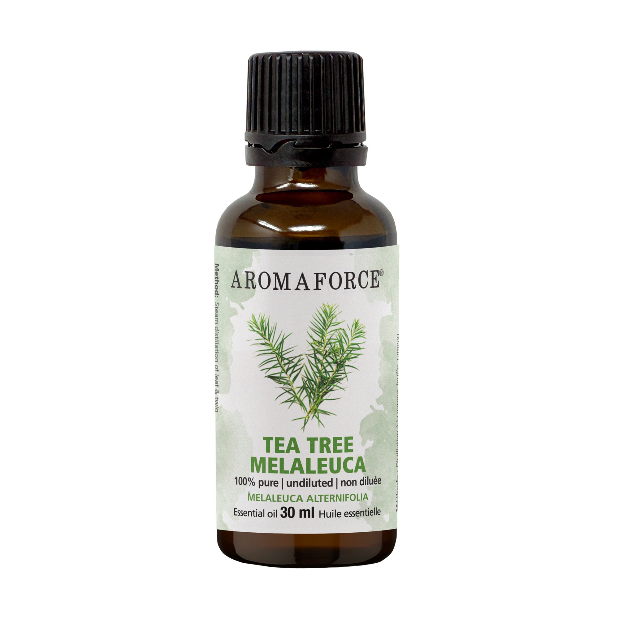 Aromaforce Huile essentielle de Melaleuca 100% pure, distillée à la  vapeur et rafraîchissante 30mL