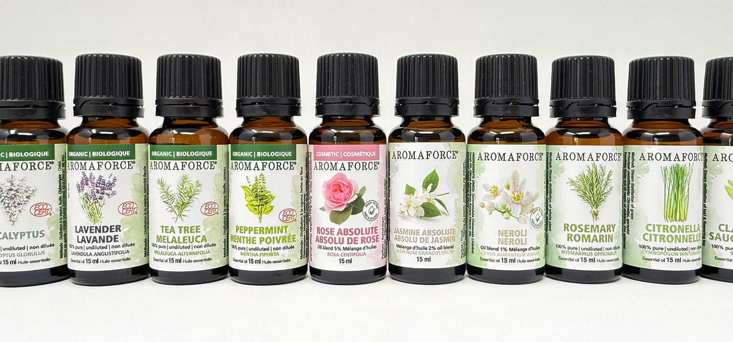 ALL PRODUCTS